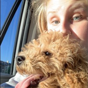 Meet your Posher, Evin